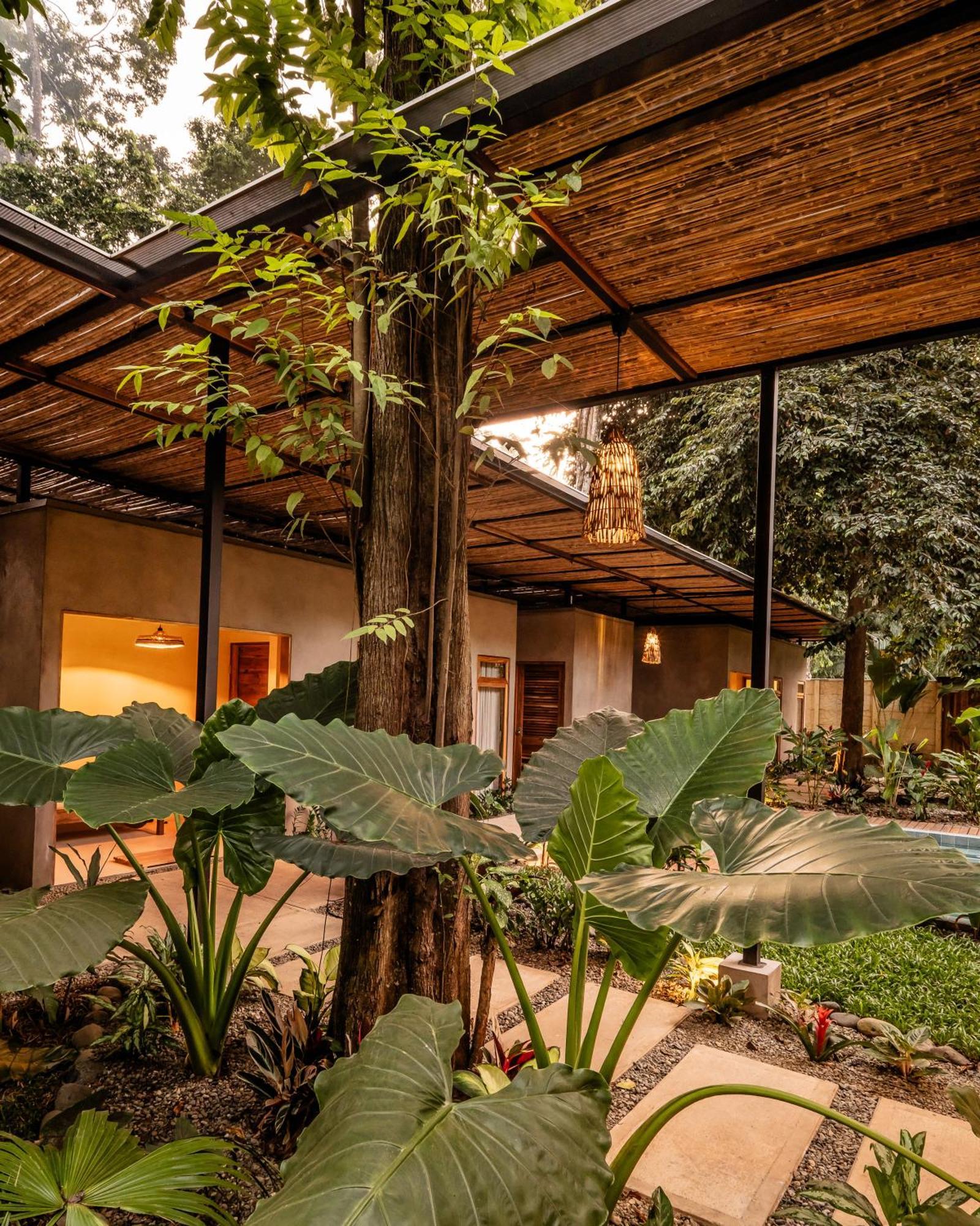 La Bonita Lodge Puerto Viejo de Talamanca Экстерьер фото